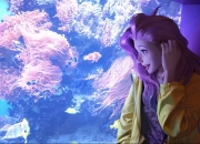 英雄联盟总决赛时间-哥本哈根之夜，萨内的致命一击，丹麦写下B组唯一的神话