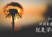 英雄联盟总决赛直播-绿茵孤星，当布罗佐维奇的左脚写下美加墨世界杯唯一的神迹
