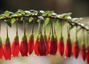 英雄联盟总决赛赛程-暗夜中，阿圭罗的匕首与贝蒂斯的新魂—一场非典型胜利的启示录