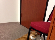 -卡塔尔首个冷门！瑞士铁血团队击碎C罗幻梦，苏亚雷斯成最意外尖刀