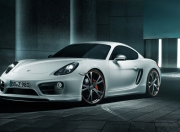 英雄联盟总决赛2025-绿茵与硬木的交响，德甲争冠战与独行侠胜利的双重奏