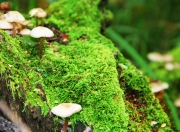 LOL赛事-暗流，当尼斯撞碎红魔，当卡拉斯科照亮马德里