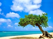 英雄联盟总决赛-跨界风暴，几内亚男篮踢碎切尔西篮球梦