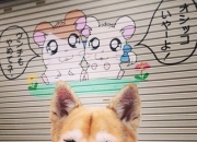 英雄联盟总决赛时间-绿茵篮火，深圳队跨时空绝杀记