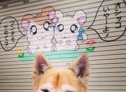 英雄联盟总决赛时间-绿茵篮火，深圳队跨时空绝杀记