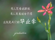 LOL赛事-冷锋过境，当客场成为切特·霍姆格伦的决策温床，马刺在冰城无声破茧