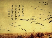 LOL赛事-让我先为你构思一个能抓住这股力量的标题