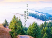 -2026世界杯决赛，拉什福德独舞，罗马尼亚横扫越南，一场载入史册的焦点战