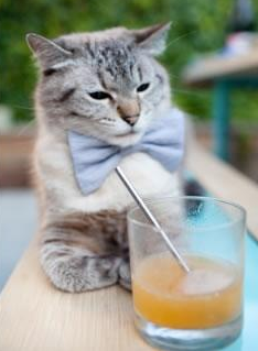 厄德高一剑封喉,秘鲁硬仗中力克乌拉圭