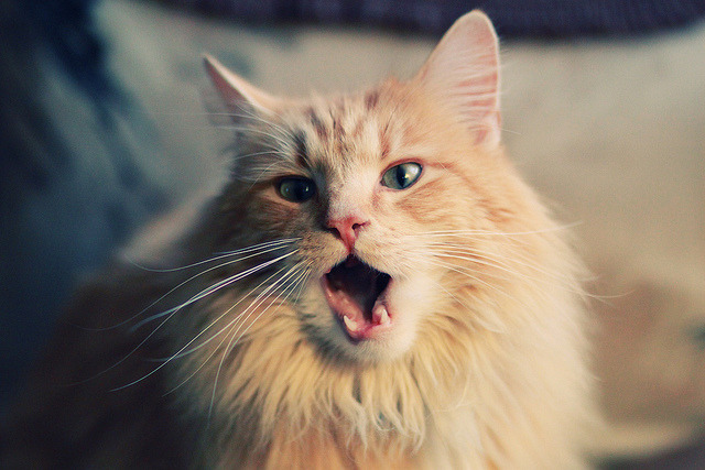 一个NBA球星如何主导西甲国家德比？