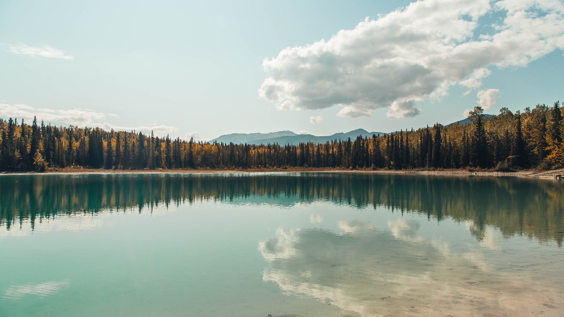 一己之节，本泽马的抢七之夜，与球场上唯一的指挥家