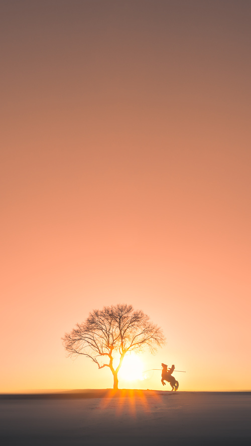 篮网横扫北京队预热全球浪潮,克莱2026世界杯接管比赛谱写传奇新篇