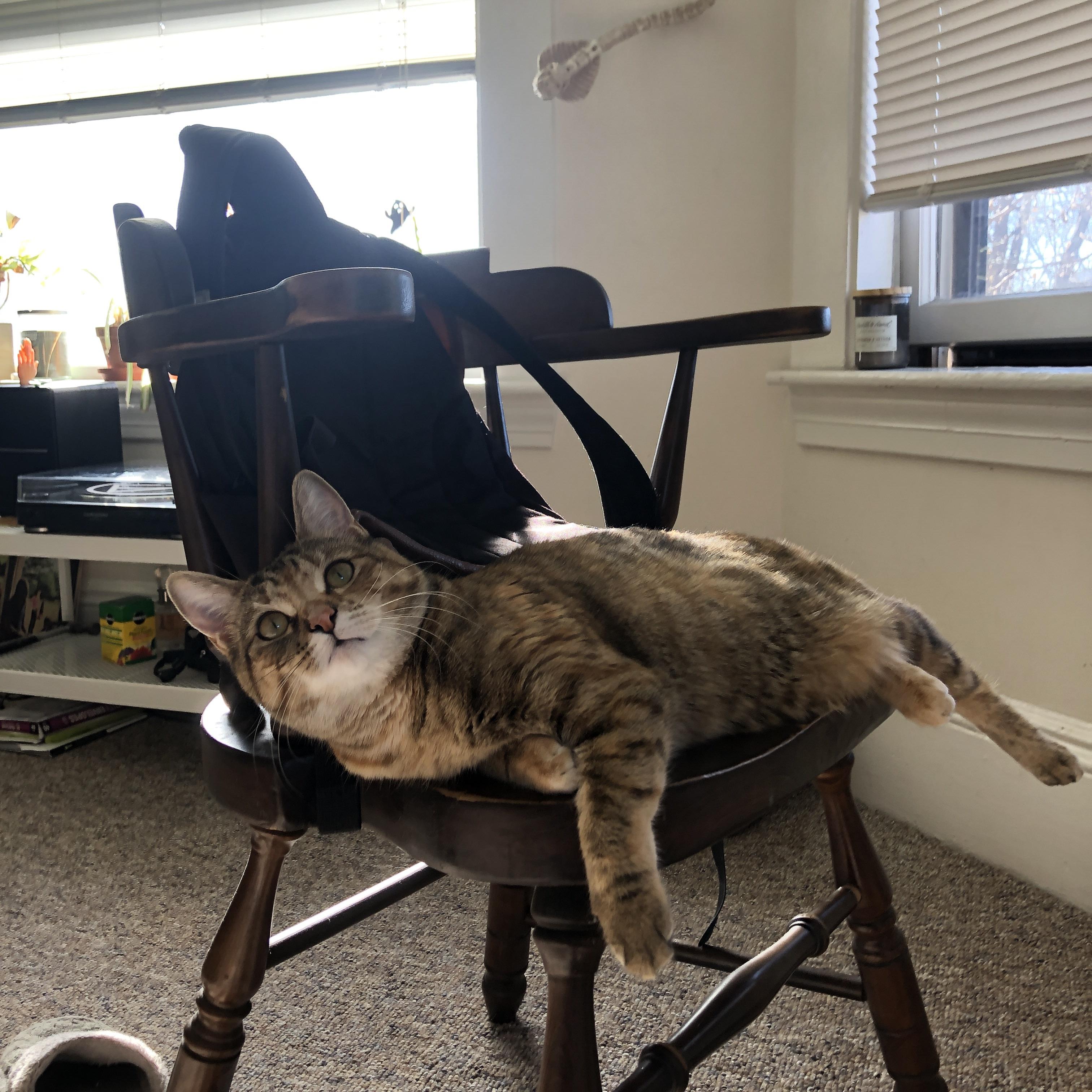 第117分钟的一记远射,特奥的左脚如何定格了瑞士的胜利,写下中国队的遗憾