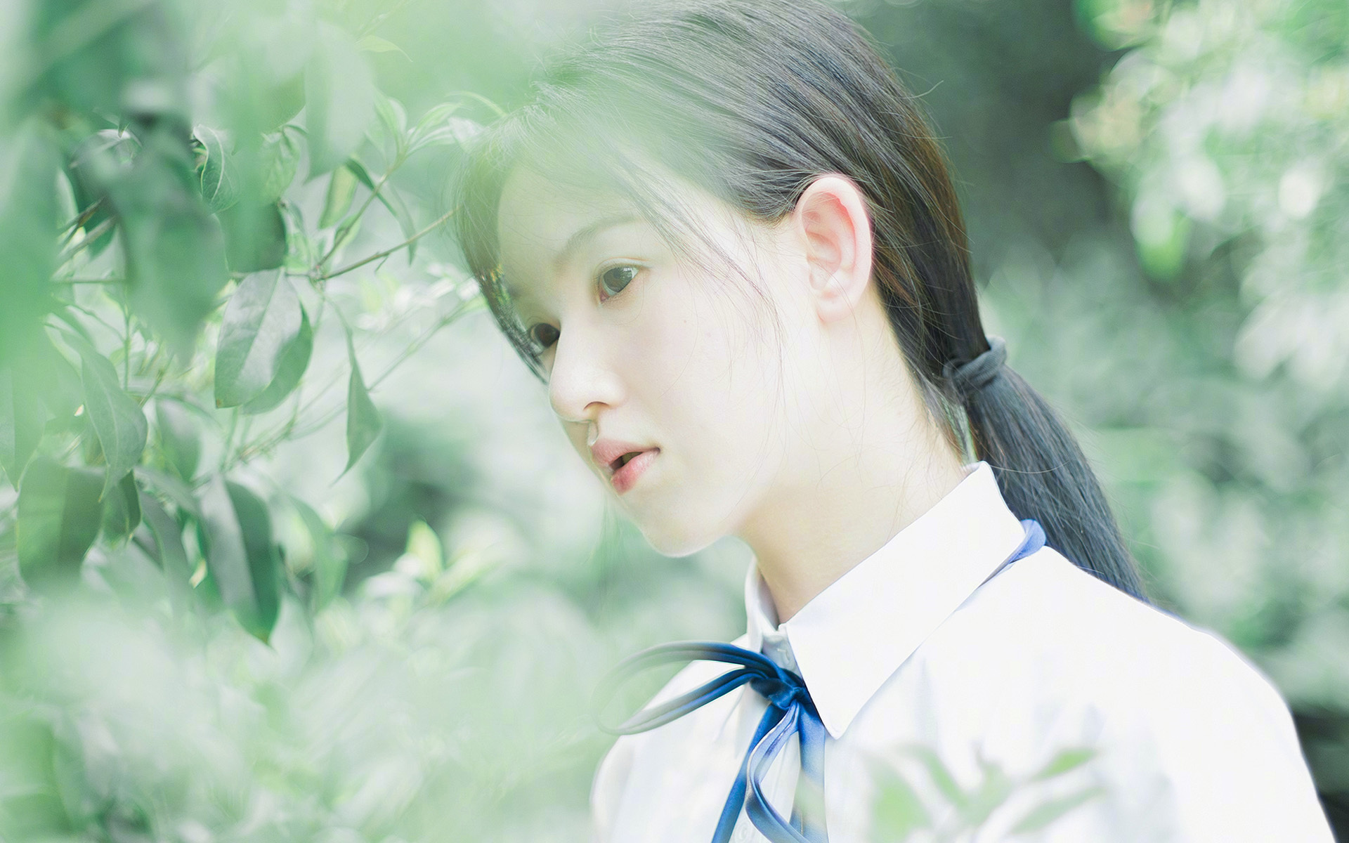 后卫线上演不眠之夜，当福克斯的利爪撕破达拉斯防线