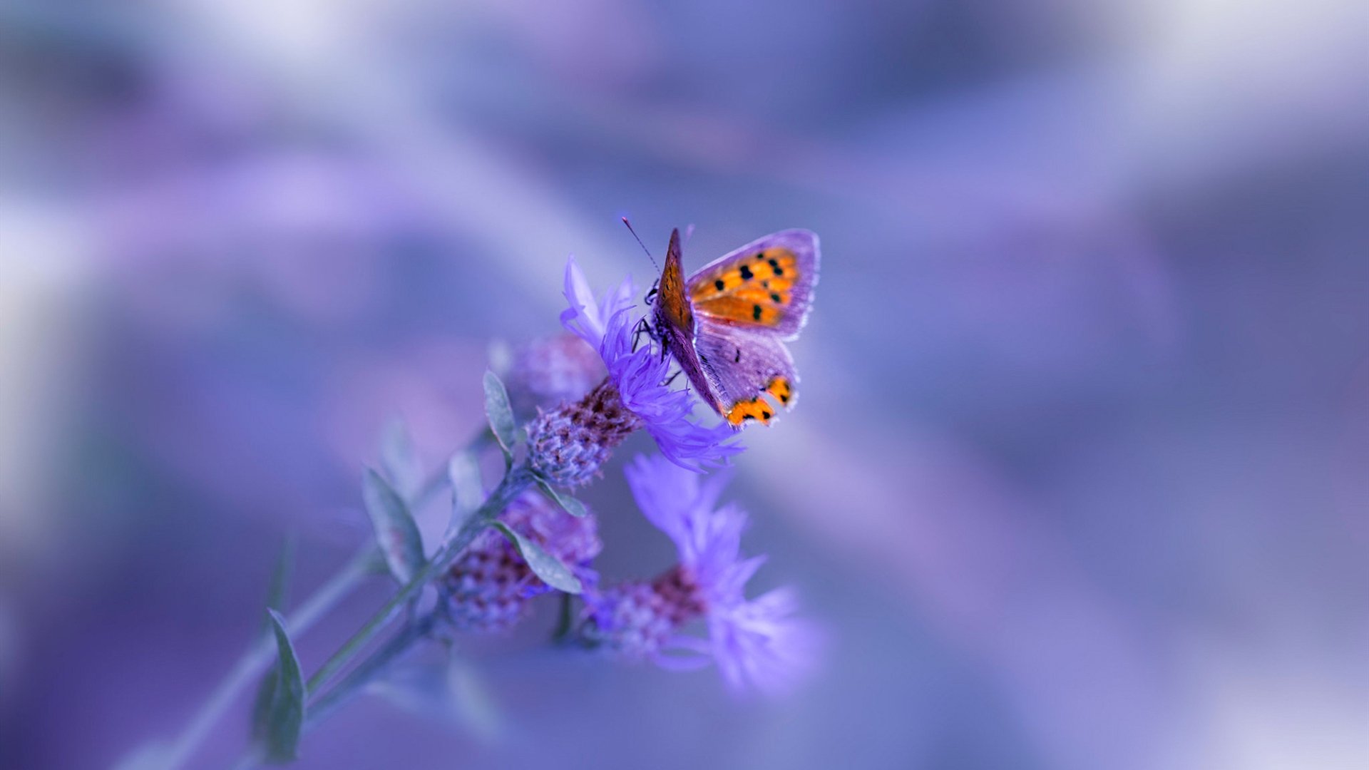 卡马文加的加速器效应,美国队的最后时刻是如何扼杀比利亚雷亚尔的悬念