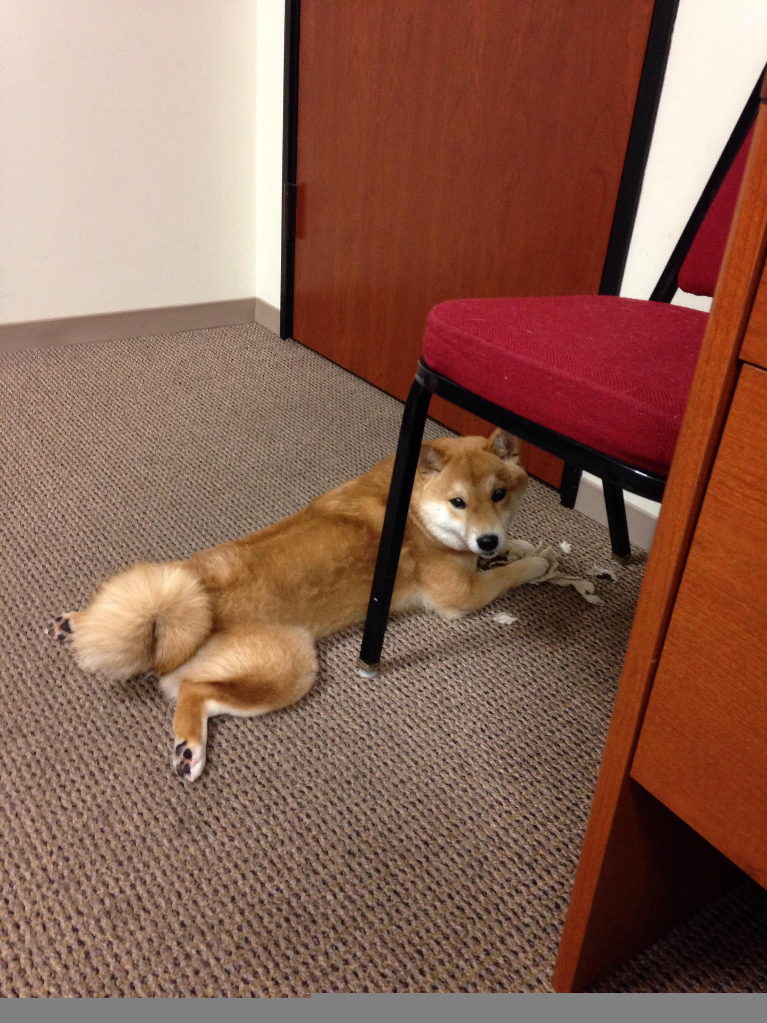 卡塔尔首个冷门！瑞士铁血团队击碎C罗幻梦，苏亚雷斯成最意外尖刀