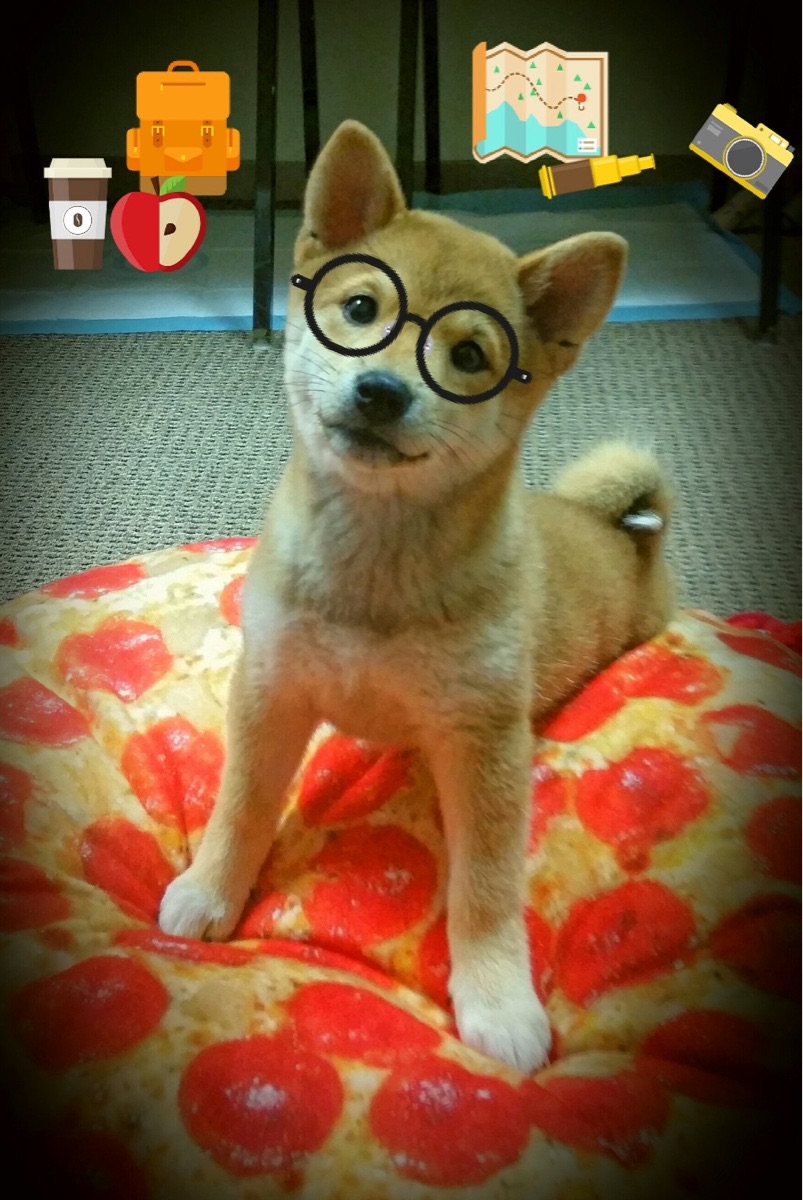 暗夜骑士德罗赞，绝境双杀背后，猛龙硬仗血性觉醒