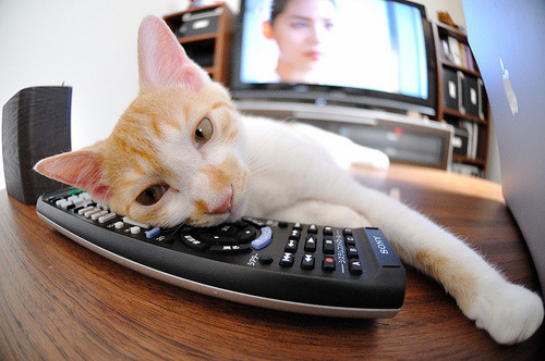 重剑对算法，当大场面先生范戴克，遇见被美国拿下的曼联