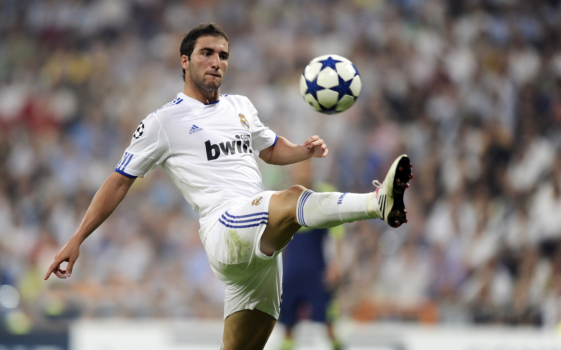 奥亚尔萨瓦尔决胜一击，奥地利三球速胜安哥拉