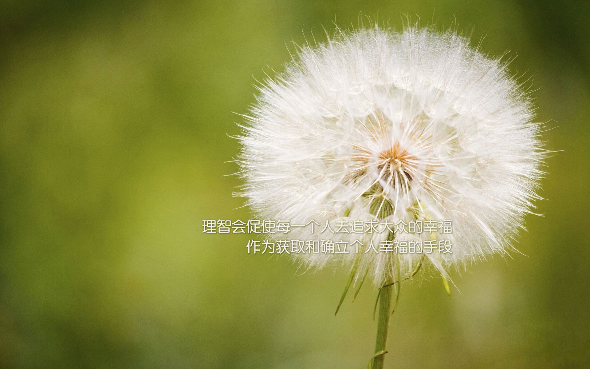 孔德,吹响攻防转换的魔笛,在争冠之夜演奏逆转交响