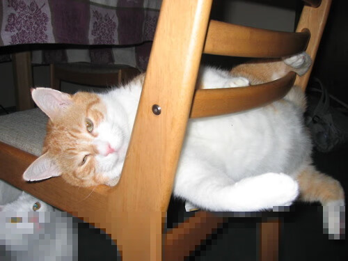 英雄与罪人,若日尼奥背叛意大利后的自我救赎终场哨响前35秒,若日尼奥的绝命点球与跨越洲际的救赎