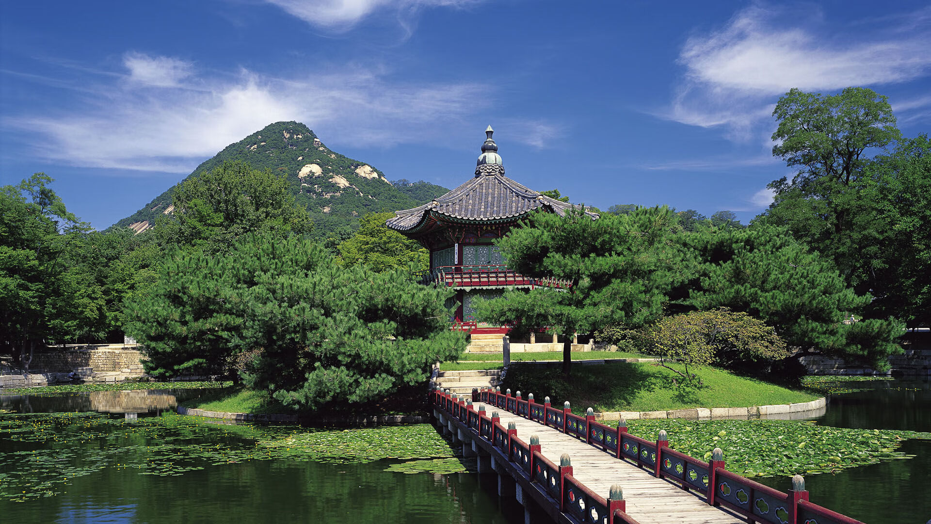 生涯之夜!班凯罗50分刷新纪录,深圳队生死战压哨绝杀独行侠