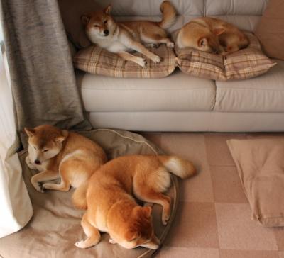 唯一性的胜利,广东队决胜局擒老鹰,布克在NBA季后赛接管比赛