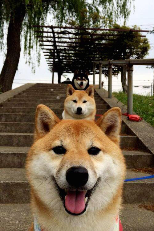 霍勒迪冷血封喉,沉默杀手的爆发,让篮网提前缴械