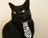 切特连飙关键分拉开差距,魔术全面压制篮网取大胜