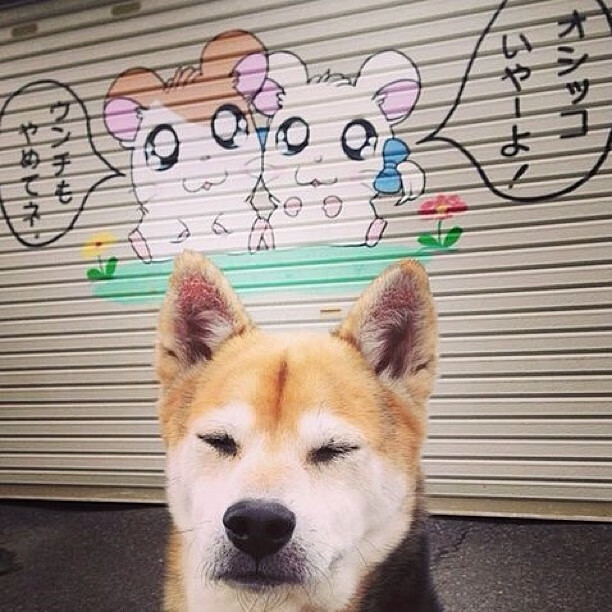 扩展与构思