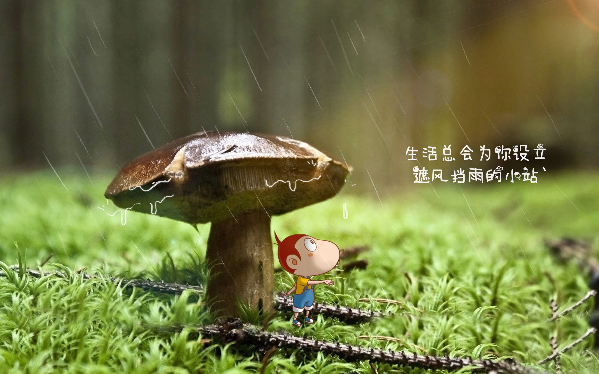 孤胆与集群，当欧文的爆发撞上掘金的机械潮