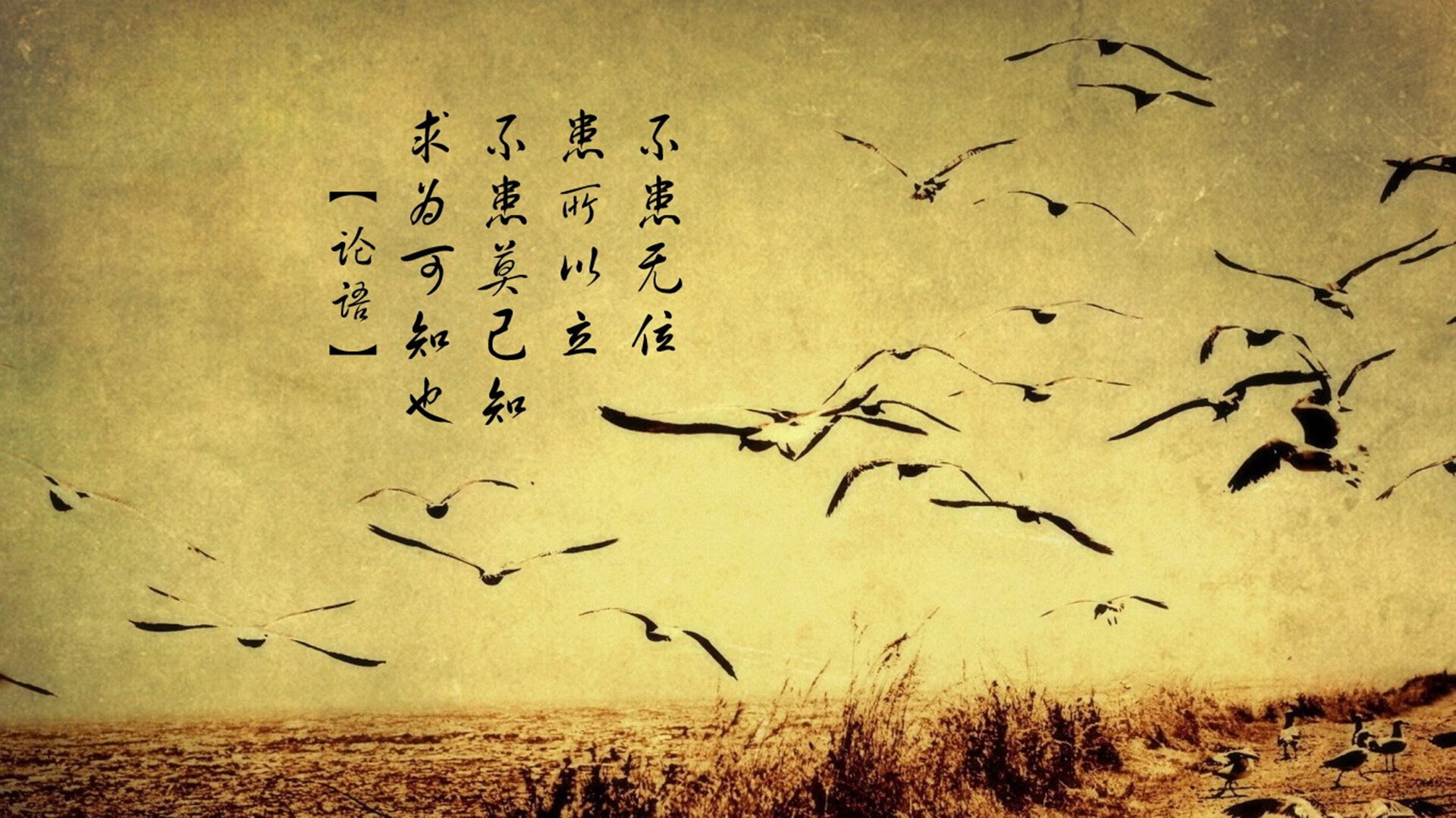 让我先为你构思一个能抓住这股力量的标题