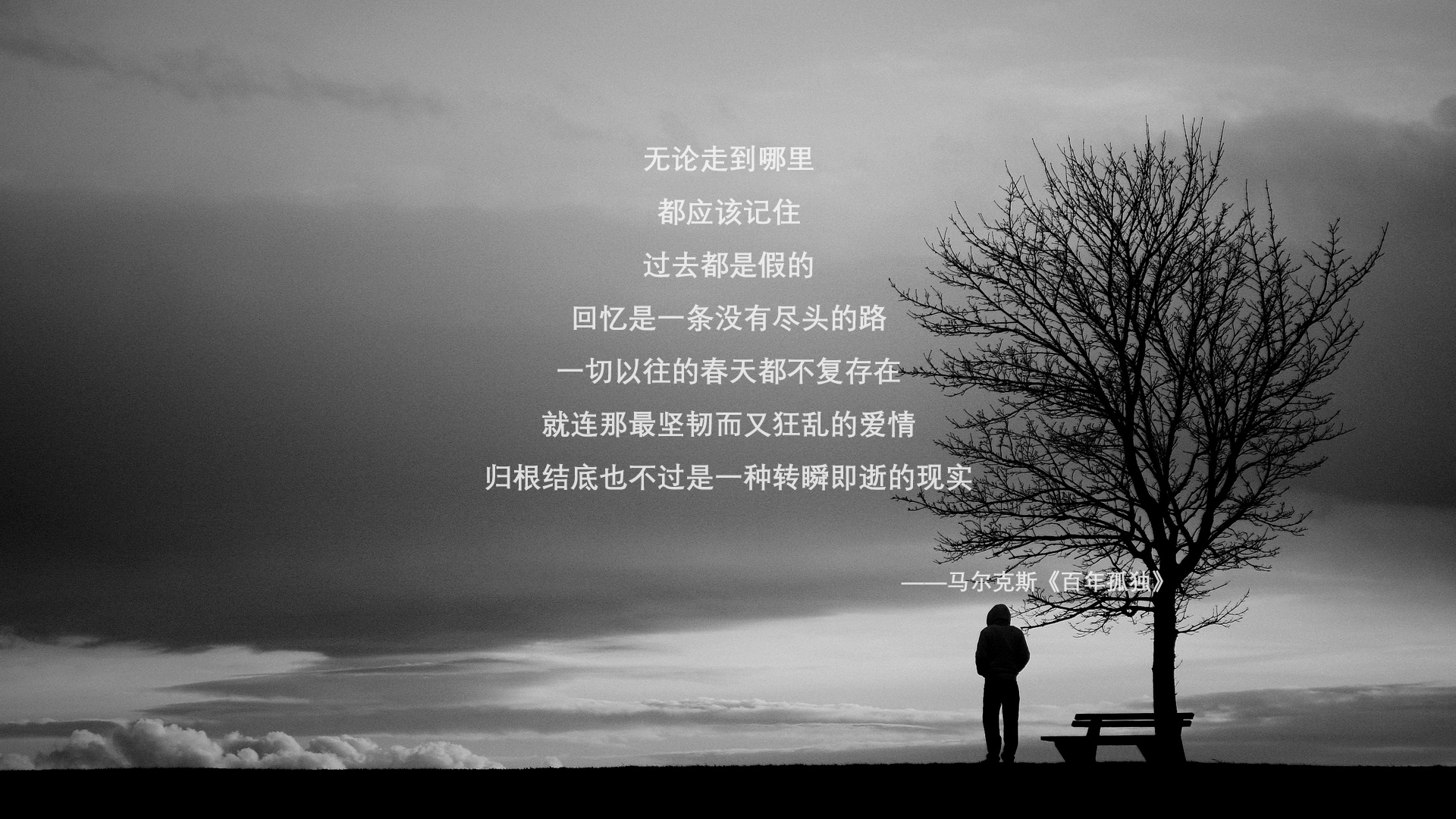 以下是为您构思的文章标题及正文