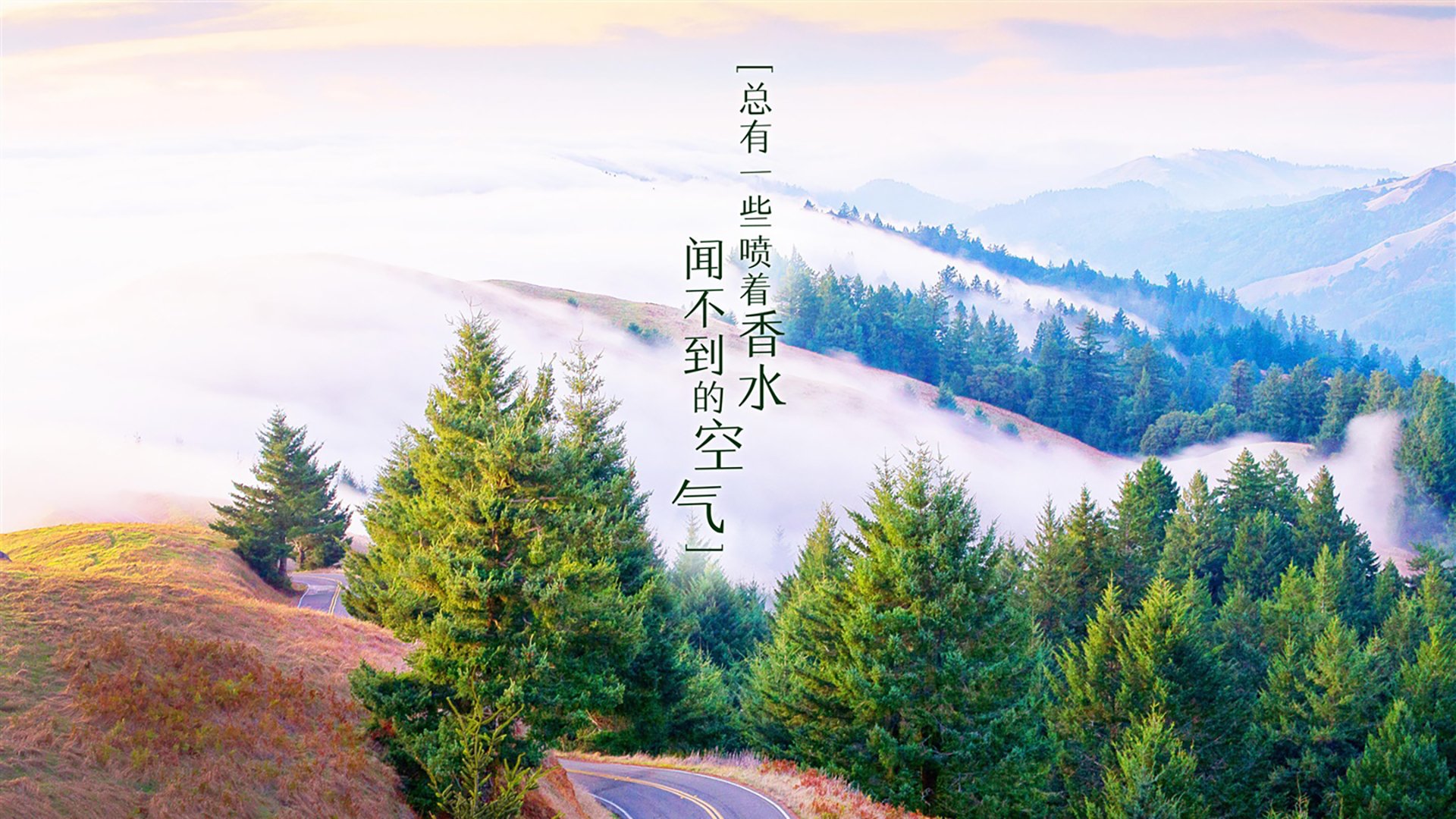 2026世界杯决赛,拉什福德独舞,罗马尼亚横扫越南,一场载入史册的焦点战