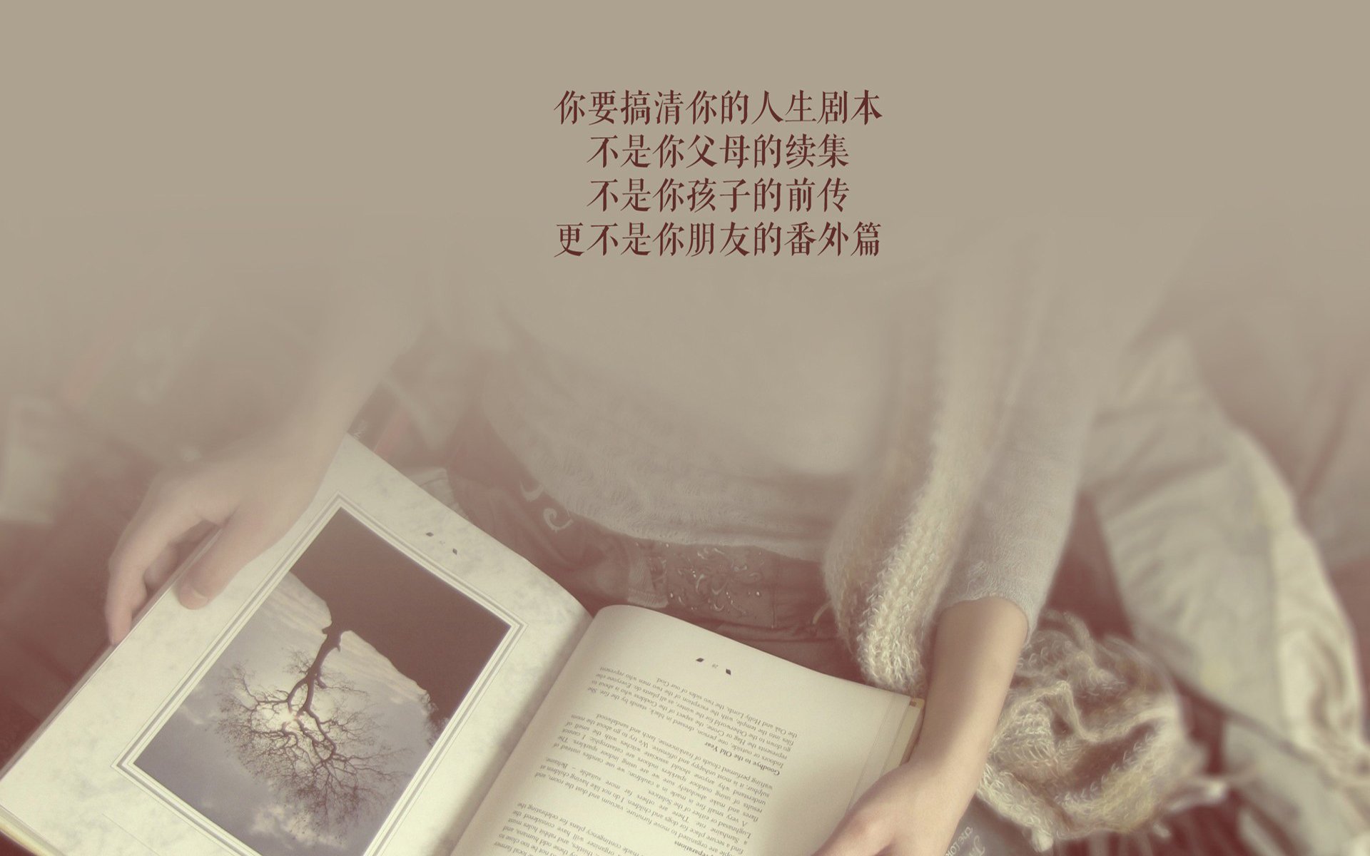 铁血绝杀,2026世界杯A组,智利用最硬的方式撕碎命运—坎塞洛一剑封喉,尼日利亚倒在黎明前