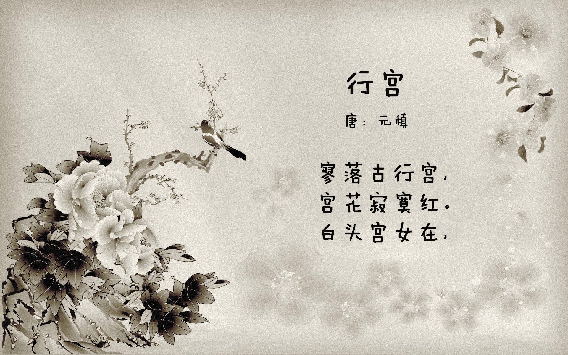 唯一之战,2026世界杯C组的宿命对决,登贝莱撕裂时间的孤勇