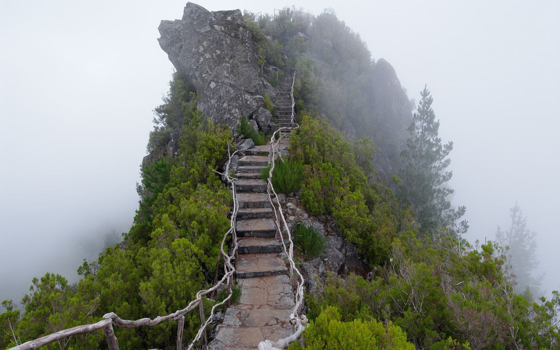 疾风骤雨中的天蓝王朝，2026世界杯F组焦点战，乌拉圭碾压智利，奥斯梅恩以快打慢铸就经典