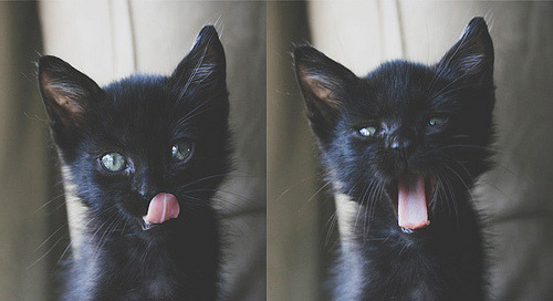 唯一之战，2026世界杯巅峰对决，奥斯梅恩闪耀光芒，韩国以牙还牙力克印度