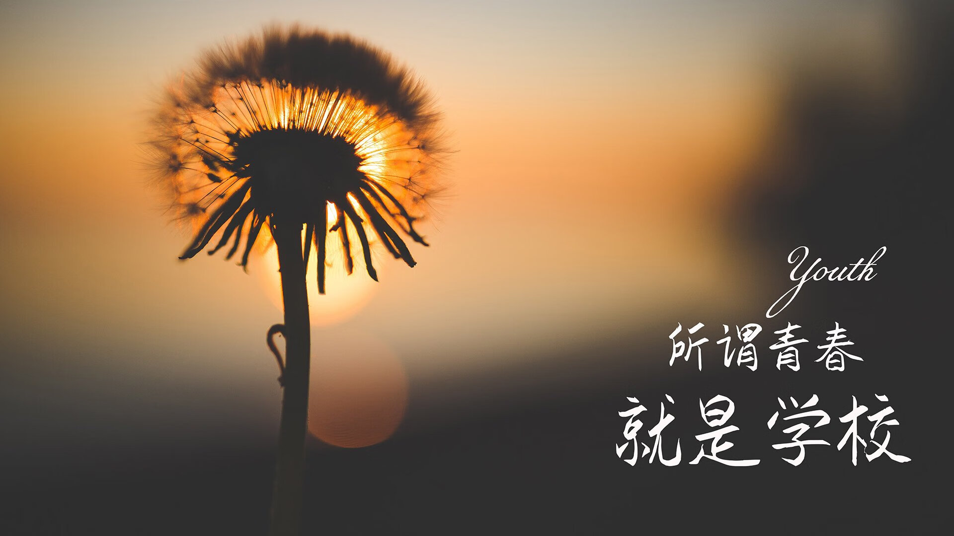 绿茵孤星，当布罗佐维奇的左脚写下美加墨世界杯唯一的神迹